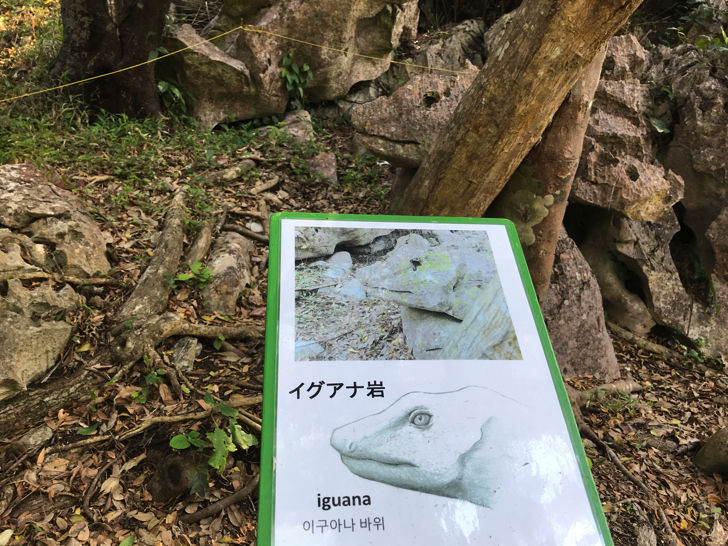 沖縄最大のパワースポット「大石林山」イグアナ岩
