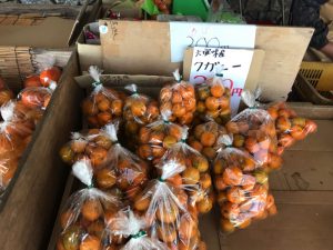 大宜味村の道の駅