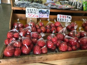 大宜味村のトマト