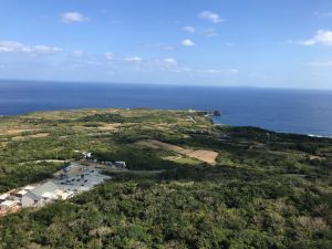 沖縄最大のパワースポット「大石林山」