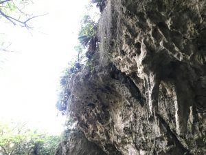 斎場御嶽
